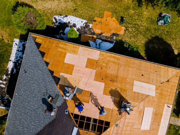 Best Shingle Roofing Installation  in Raoul, GA