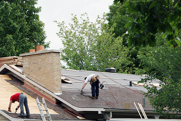 Best Metal Roofing Contractor  in Raoul, GA